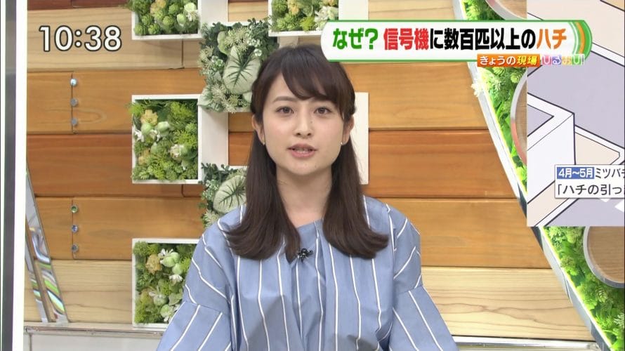日比麻音子アナの高校やミスコンは?ひるおびやNスタでかわいいと話題!